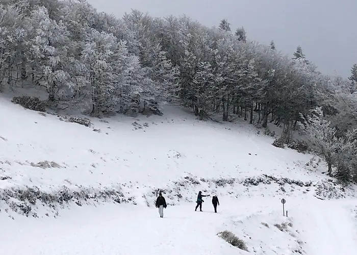 Feriehus Chateau Porthos Tranquillite Des Pyrenees *