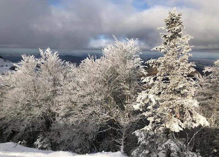 Chateau Porthos Tranquillite Des Pyrenees * Lanne-en-Baretous